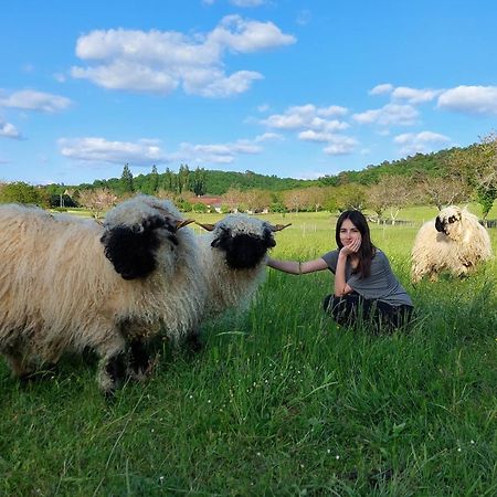 Ferme Des Petites Oreilles 4 Etoiles Montignac-Lascaux Dış mekan fotoğraf