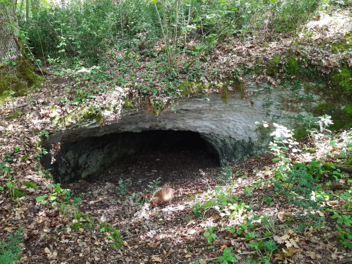 Ferme Des Petites Oreilles 4 Etoiles Montignac-Lascaux Dış mekan fotoğraf