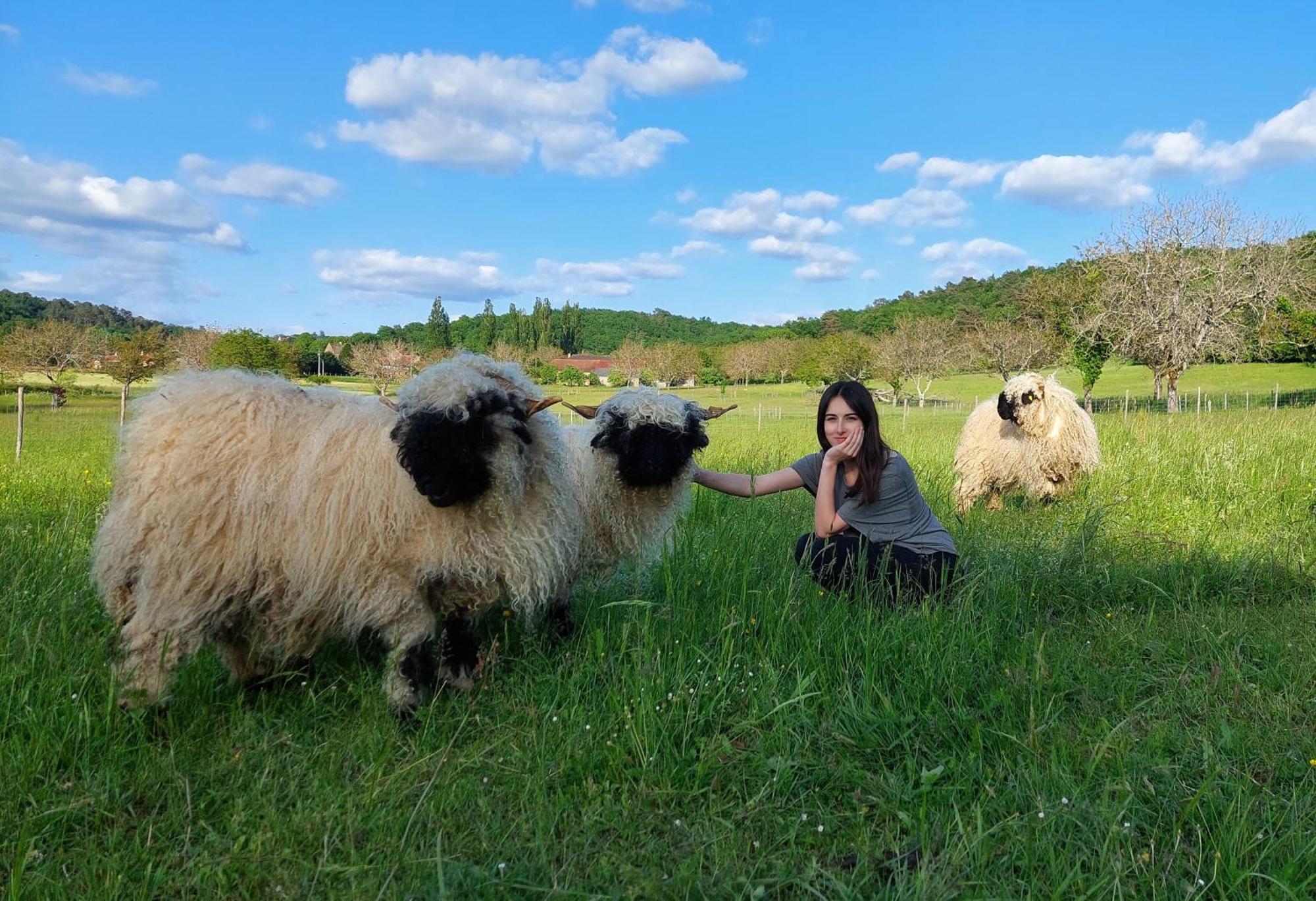 Ferme Des Petites Oreilles 4 Etoiles Montignac-Lascaux Dış mekan fotoğraf